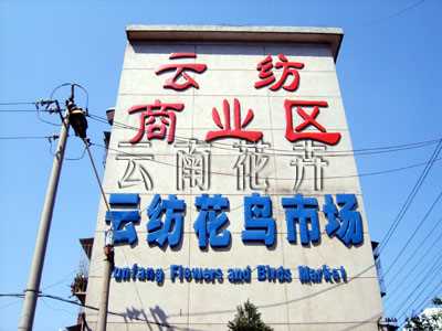 昆明云紡商業(yè)區花鳥(niǎo)市場(chǎng)