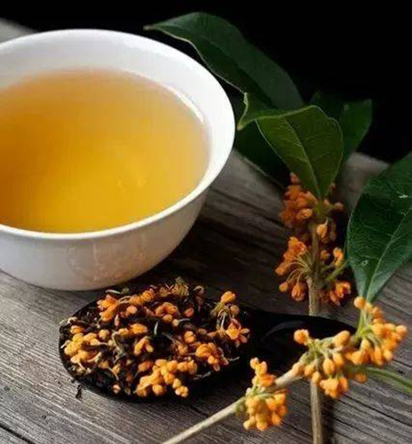 以花为食——让春天留在舌尖 以花为食——让春天留在舌尖