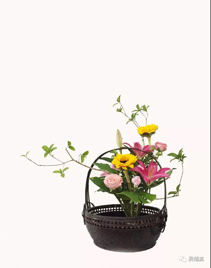 吴越流插花 吴越流插花蓝花培训习作