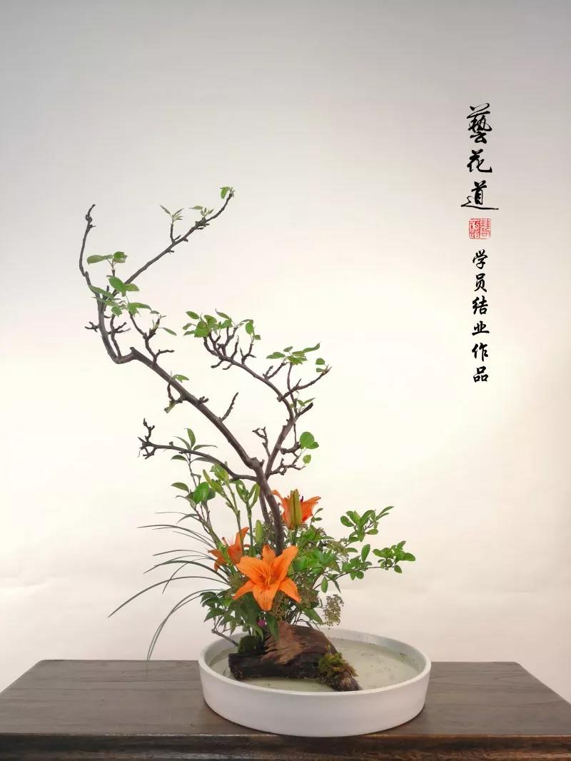 吴越流插花作品 第九期艺花道中国传统插花班学员结业考试作品