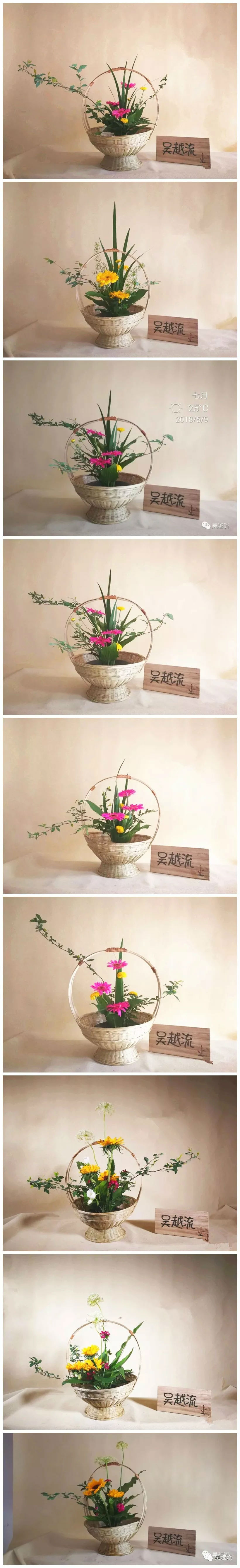 吴越流插花 吴越流插花蓝花培训习作