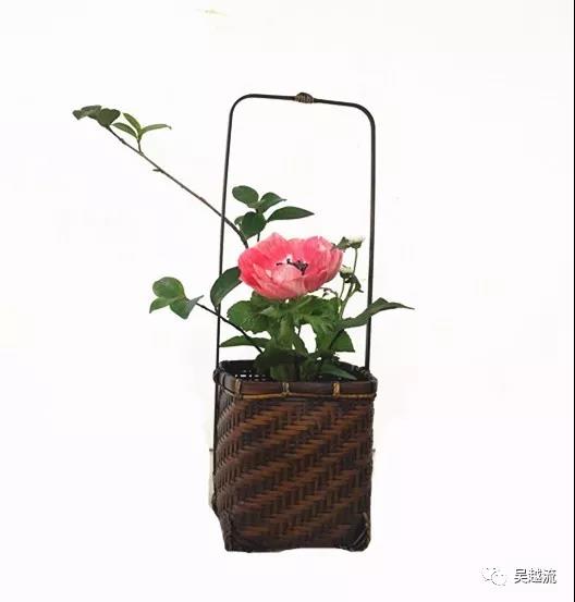 吴越流插花 吴越流插花蓝花培训习作