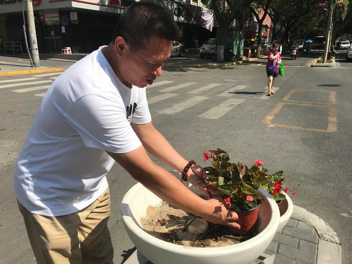 西安:和平路街景盆栽屡遭“黑手”