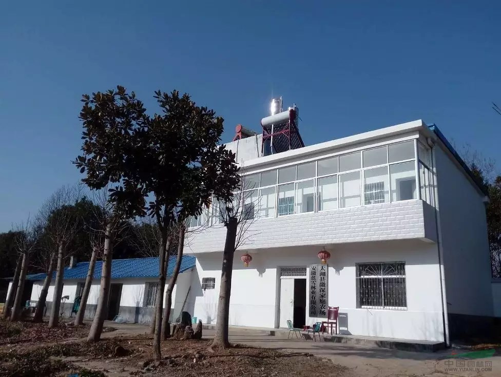 【转让】安徽安庆850亩苗圃急转!