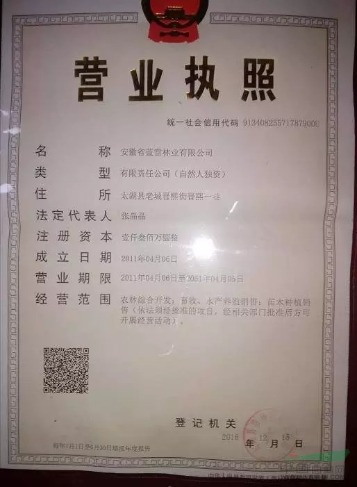 【转让】安徽安庆850亩苗圃急转!