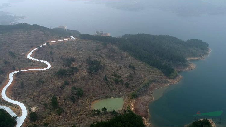 【转让】安徽安庆850亩苗圃急转!
