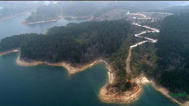 【转让】安徽安庆850亩苗圃急转!