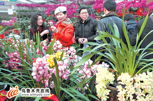 花卉
