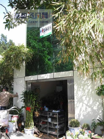 公厕门口的花店