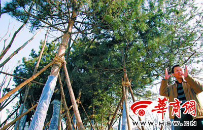 西安市市容园林局