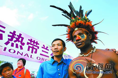 非洲来的兰花“使者”出现在兰博会“非洲兰圃”展厅。