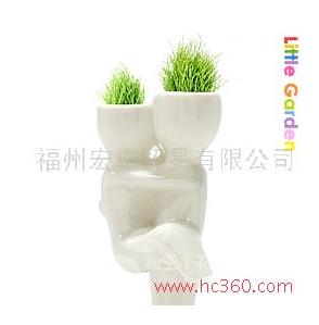 恋人版植物盆景