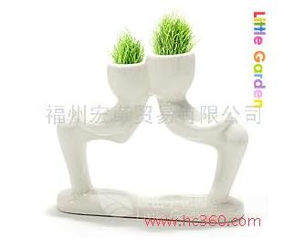 恋人版植物盆景