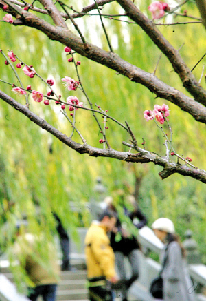 梅花