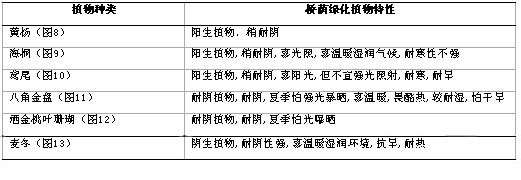 　表3 桥荫植物的特点