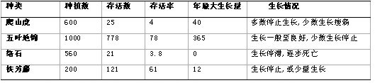 表2  上海高架立柱绿化主要植物品种