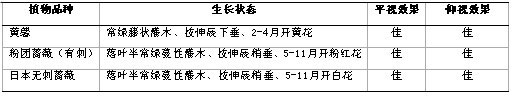 表1 上海高架桥面绿化主要植物品种