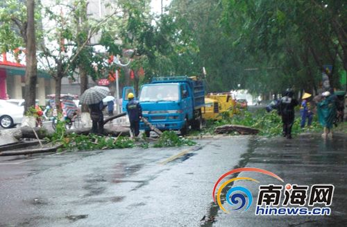 海南：“芭玛”袭击大树被拔 海口交通受阻一小时