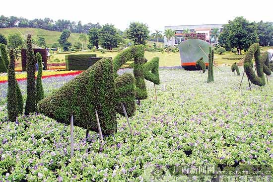 广西：迎盛会 南宁50万盆鲜花绘成“新丝路”巨型画卷