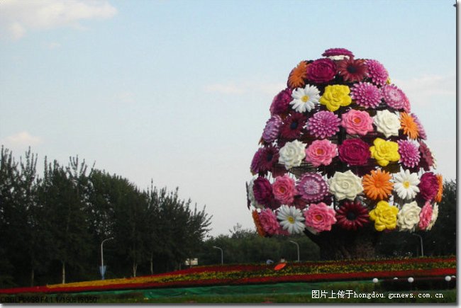 看顺义花博会有感广西花卉业的缺失