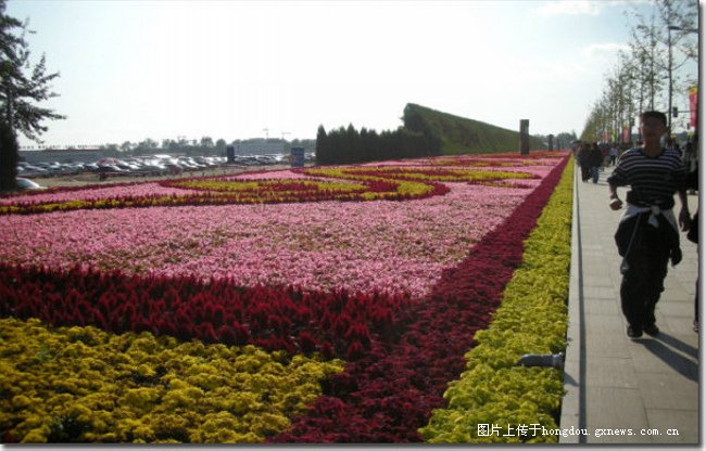 看顺义花博会有感广西花卉业的缺失:美丽经济在顺义 awei_n awei