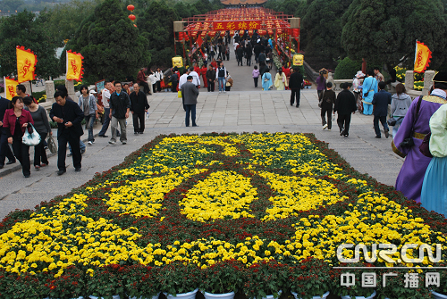 四方游客纷至沓来，赏菊观景