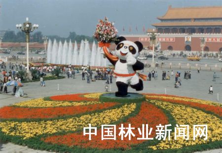 鲜花曾告诉我你怎样走过 回顾天安门广场花团锦簇的10月 