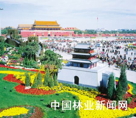 鲜花曾告诉我你怎样走过 回顾天安门广场花团锦簇的10月 