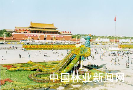 鲜花曾告诉我你怎样走过 回顾天安门广场花团锦簇的10月 