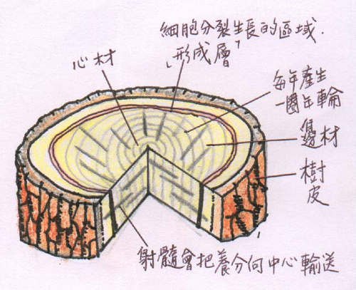 示意图