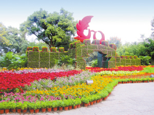 苏州 花圃苏州 花圃批发促销价格产地货源 阿里巴巴