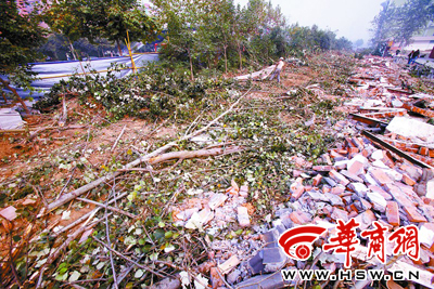 西安：太白路千棵行道树遭砍挖 园林部门称未正式审批