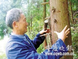 重庆：一根砂钵棒 “舂”出20个农民富翁