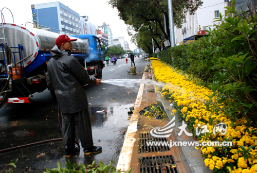 南昌：这次不铲了 阳明路绿化带“定稿”