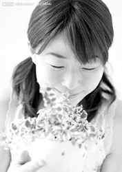 “懒人”花卉让家居暗香浮动 既陶冶情操又净化空气