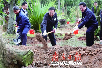 广州：美丽亚运林落户番禺大夫山脚下