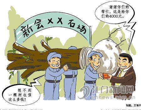 石场出“内鬼”偷卖大榕树