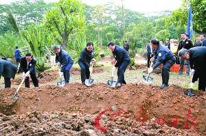 朱小丹、张广宁、朱振中等在大夫山森林公园共植一株秋枫