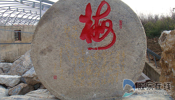 莱州：书法绘画艺术融入造型 八千盆梅花订购一空