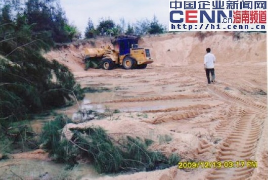 海南海防林填虾池毁椰树 台商发贴求助政府