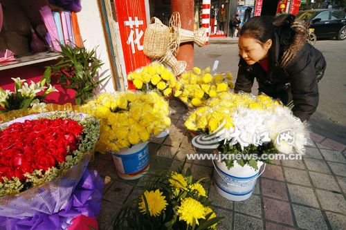 南昌：冬至祭扫 菊花价格普遍涨了一倍