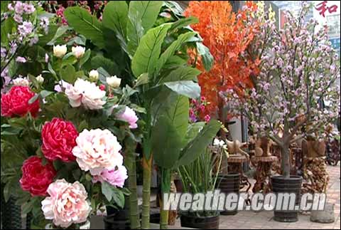 佳节临近，花市走俏