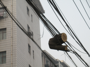 兰州：锯树不清理 树干悬在路上空
