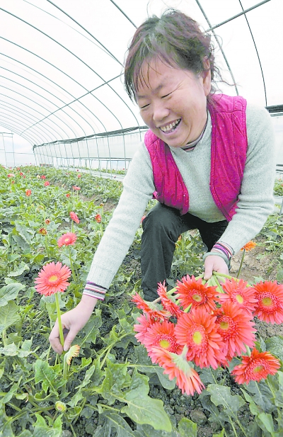 贵阳：农民种植精品花卉促致富