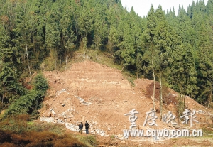 重庆：贫困县政协委员为母修墓占林地379平米