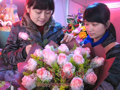江西：圣诞节即将来临 鲜花“洋味”正浓（图） 