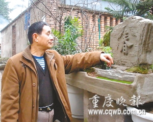 重庆：邻里盆景展社区成花园（图）