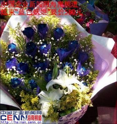 蓝色妖姬玫瑰花