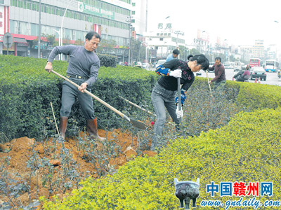 植树