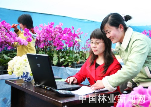 鲁花苑的工作人员正在网上谈生意